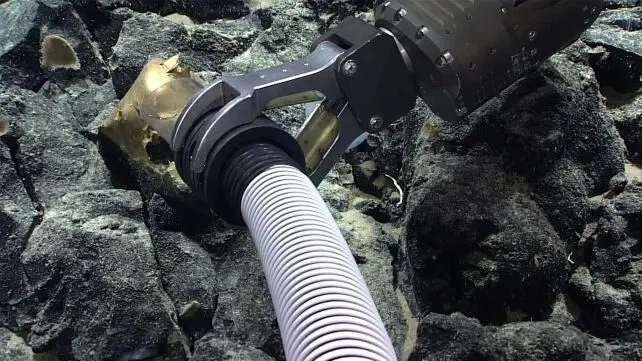 رمزگشایی از تخم طلایی که کف اقیانوس پیدا شد/ عکس