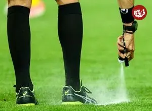 عکس| حمله وحشیانه به داوری که در استادیوم خواستگاری کرد! 