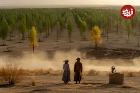 یک میلیارد درخت در دل کویرهای چین: معجزه سبز یا فاجعه‌ای برای اکوسیستم؟