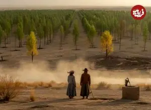 یک میلیارد درخت در دل کویرهای چین: معجزه سبز یا فاجعه‌ای برای اکوسیستم؟