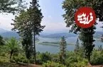 یک روزه کجا بریم ؟؛ راهنمای سفر یک روزه به سد لفور 