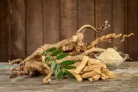 تصاویر؛ تونکات علی؛ گیاه معجزه گر یا مکمل پرخطر؟