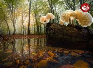 تصاویر؛ شاهکارهای عکاسی منظره در سال 2025