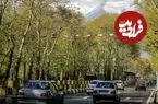 عکس| سفر زمان؛ مردی در حال چراندن بوقلمون در یکی از خیابان‌های تهران در دوران قاجار