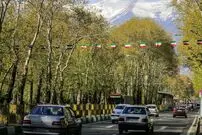عکس| سفر زمان؛ مردی در حال چراندن بوقلمون در یکی از خیابان‌های تهران در دوران قاجار