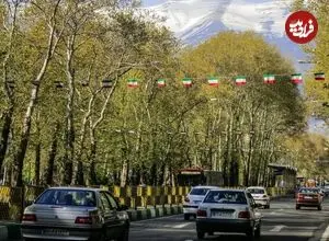 عکس| سفر زمان؛ مردی در حال چراندن بوقلمون در یکی از خیابان‌های تهران در دوران قاجار