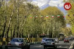 عکس| سفر زمان؛ مردی در حال چراندن بوقلمون در یکی از خیابان‌های تهران در دوران قاجار