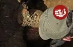گنج «قلّک‌های باستانی» با 40 هزار سکۀ رومی از زیر خاک بیرون آمد