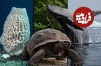 تصاویر؛ طول عمر انسان در برابر این موجودات عدد بسیار ناچیزی است!
