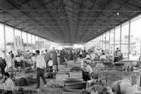 عکس؛ سفر در زمان؛ خواربارفروشی و واکسی آژان‌ها 