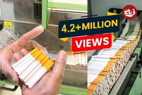 ببینید؛ سیگار چگونه در کارخانه تولید می شود؟