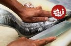 ببینید| غذای خیابانی در تایلند؛ پخت غذا با ماهی روبانی به 3 روش در بانکوک