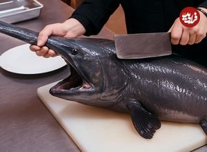 ببینید؛ غذای خیابانی در ژاپن؛ برش ماهرانه پادل ماهی کمیاب و تهیه انواع غذا با آن