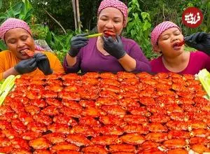 ببینید| غذای روستایی در سنگاپور؛ تهیه بال مرغ سوخاری در روستا