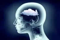 مه مغزی چیست؛ ۸ ماده غذایی که باعث ایجاد مه مغزی می‌شوند