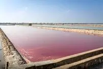 ببینید| این دریاچه قرمز و صورتی همه را شگفت‌زده کرد