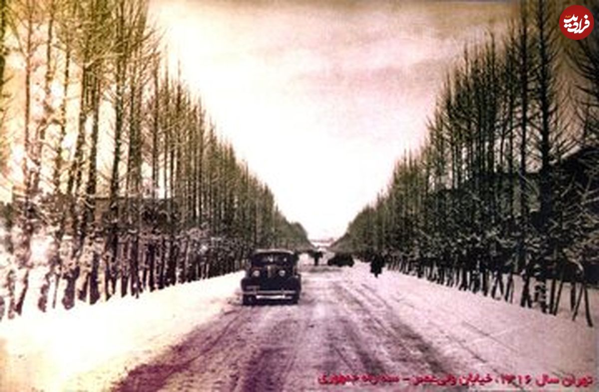 (عکس) تصویر طولانی‌ترین خیابان تهران در سال ۱۳۱۶؛ کاشت ۱۸ هزار چنار در این خیابان