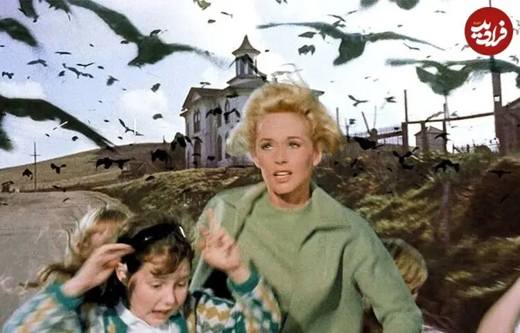 «پرندگان» هیچکاک سریال تلویزیونی می‌شود؛ چه کسی نقش زن را بازی می‌کند؟