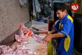 کاهش قیمت مرغ در بازار