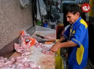 کاهش قیمت مرغ در بازار