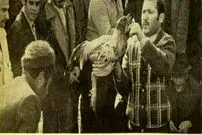 سفر به ایران قدیم؛ گزارشی عجیب از یک تفریح زیرزمینی در تهران دهه پنجاه