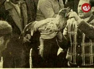 سفر به ایران قدیم؛ گزارشی عجیب از یک تفریح زیرزمینی در تهران دهه پنجاه