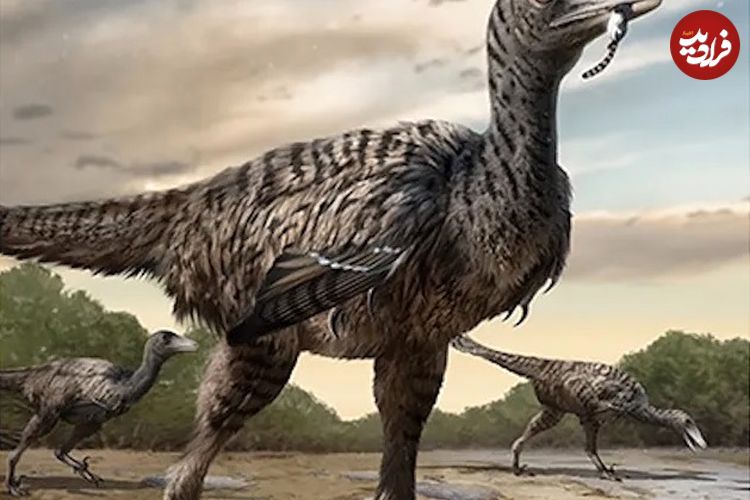 (تصویر) ردپای بزرگترین پرندۀ شکارچی تاریخ کشف شد