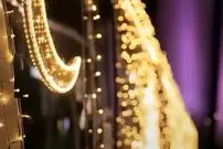 ببینید| قطار متفاوت قطر