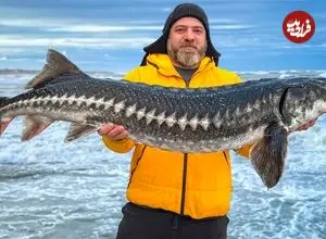 ببینید| غذای روستایی در آذربایجان؛ پخت یک سوپ سنتی با کله ماهی خاویاری