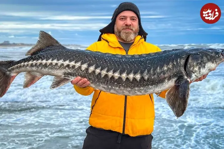 ببینید| غذای روستایی در آذربایجان؛ پخت یک سوپ سنتی با کله ماهی خاویاری