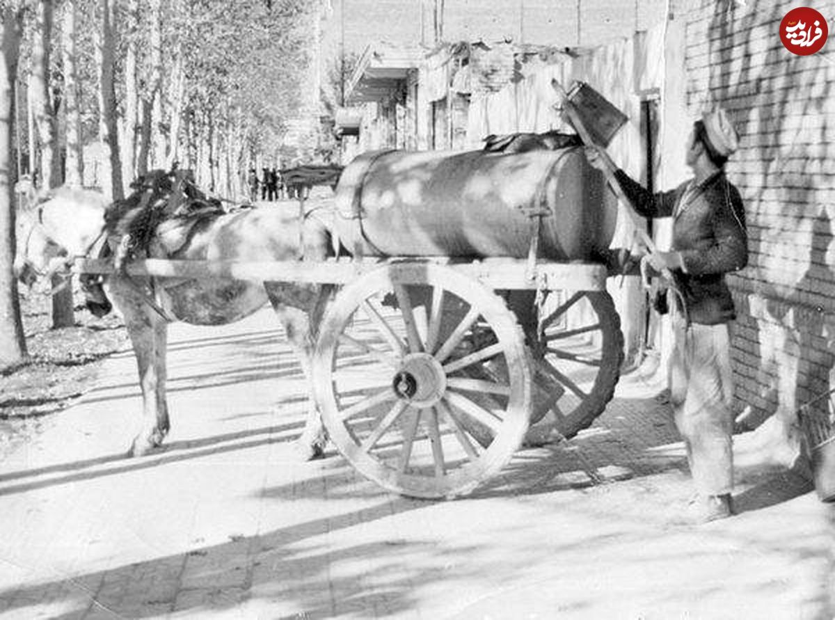 تجارت پرسودی که بوی گند می‌داد