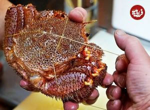 ببینید؛ غذای خیابانی در ژاپن؛ پخت غذا با خرچنگ مودار در اوکیناوا