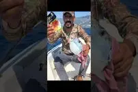 (ویدئو) این ماهی خطرناک با دندان هایش قوطی فلزی را برش می زند!