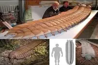 (عکس) هزارپای عظیم‌الجثه به اندازه یک ماشین کوچک 