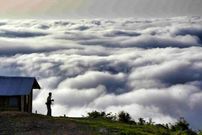 ۵ جنگل ابر رویایی شمال که باید ببینید