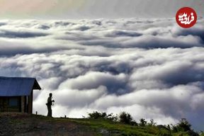 ۵ جنگل ابر رویایی شمال که باید ببینید