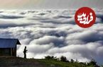 ۵ جنگل ابر رویایی شمال که باید ببینید