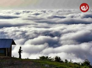 ۵ جنگل ابر رویایی شمال که باید ببینید