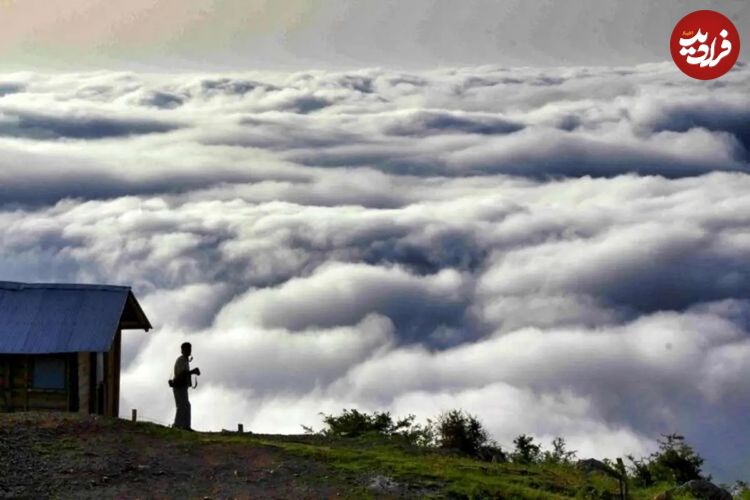 ۵ جنگل ابر رویایی شمال که باید ببینید