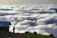 ۵ جنگل ابر رویایی شمال که باید ببینید