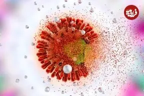 مورد نادر بیمار نروژی؛ پیوند سلول‌های بنیادی به درمان ویروس HIV منجر شد