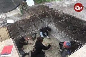 کشف جمجمۀ 12 هزارساله یک جانور غول‌پیکر که احتمالا انسان‌ها مغزش را خورده‌اند