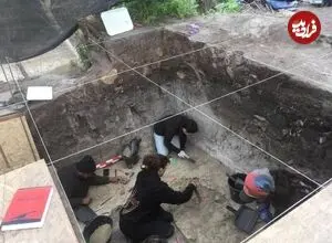 کشف جمجمۀ 12 هزارساله یک جانور غول‌پیکر که احتمالا انسان‌ها مغزش را خورده‌اند