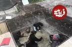 کشف جمجمۀ 12 هزارساله یک جانور غول‌پیکر که احتمالا انسان‌ها مغزش را خورده‌اند