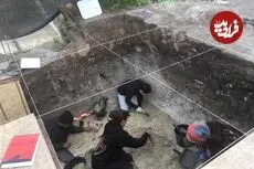 کشف جمجمۀ 12 هزارساله یک جانور غول‌پیکر که احتمالا انسان‌ها مغزش را خورده‌اند