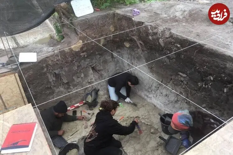 کشف جمجمۀ 12 هزارساله یک جانور غول‌پیکر که احتمالا انسان‌ها مغزش را خورده‌اند