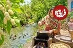 ببینید| غذای روستایی در ایران؛ برداشت توت سفید از درخت و تهیه کیک با آن