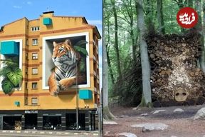 تصاویر؛ هنر خیابانی؛ حیواناتی که از دیوارهای شهر بیرون می‌آیند