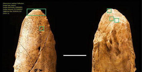 کشف ابزار 55 هزار ساله نئاندرتال‌ها