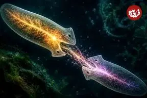 آیا می‌شود حافظه را خورد؟ معمای کرم‌هایی که علوم اعصاب را به چالش کشیدند